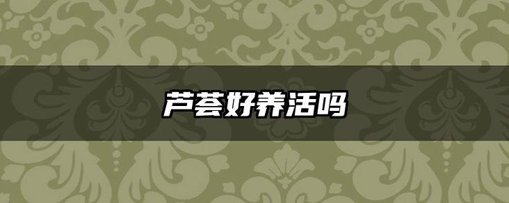 芦荟好养活吗