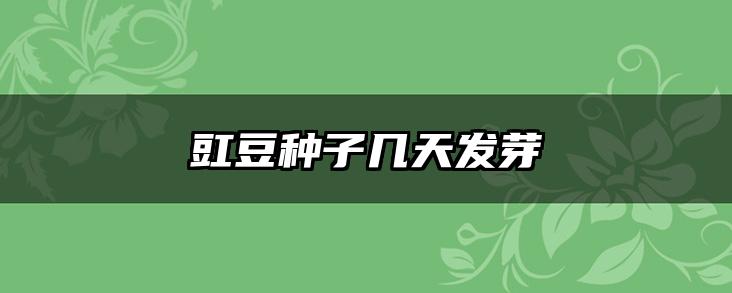 豇豆种子几天发芽
