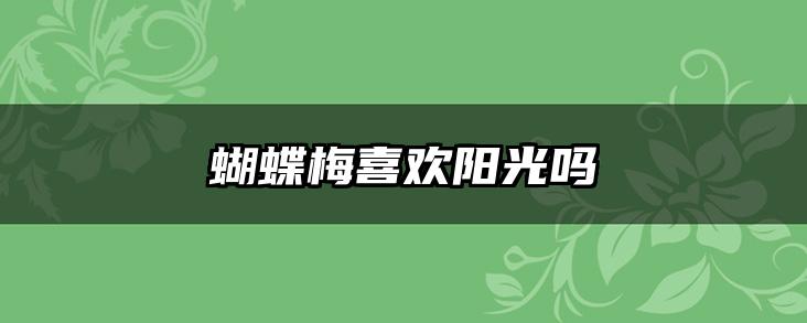 蝴蝶梅喜欢阳光吗