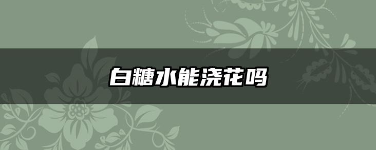 白糖水能浇花吗