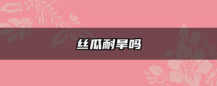 丝瓜耐旱吗
