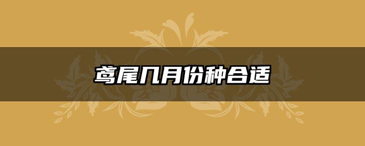鸢尾几月份种合适