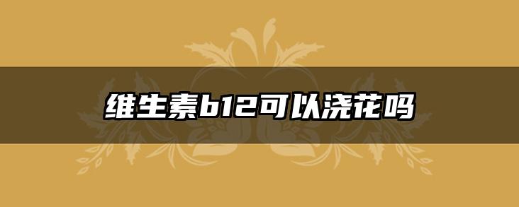 维生素b12可以浇花吗