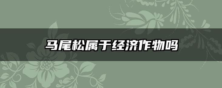 马尾松属于经济作物吗