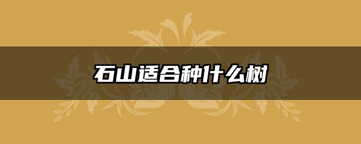 石山适合种什么树