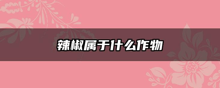 辣椒属于什么作物