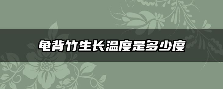 龟背竹生长温度是多少度