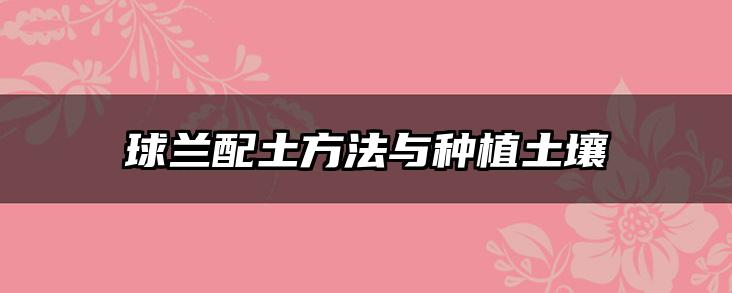 球兰配土方法与种植土壤