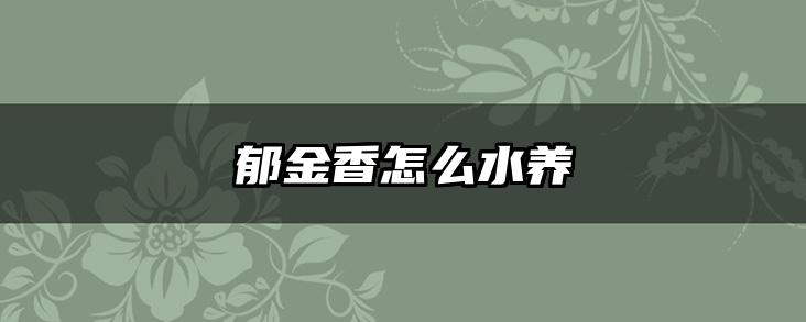 郁金香怎么水养