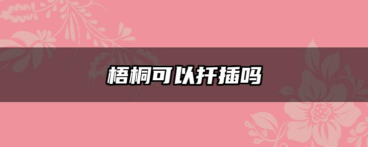 梧桐可以扦插吗