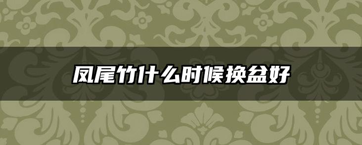 凤尾竹什么时候换盆好