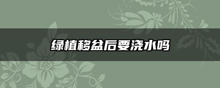 绿植移盆后要浇水吗