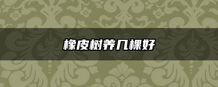 橡皮树养几棵好