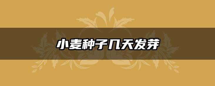 小麦种子几天发芽