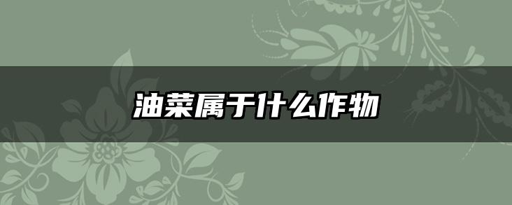 油菜属于什么作物
