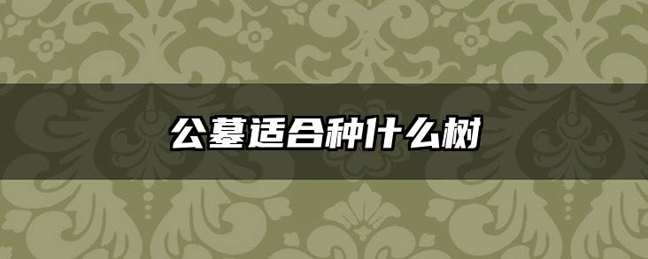 公墓适合种什么树