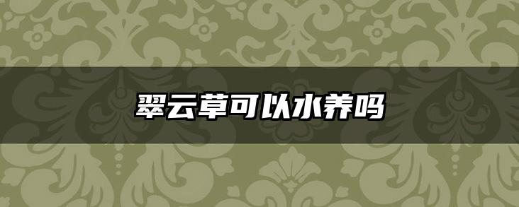 翠云草可以水养吗