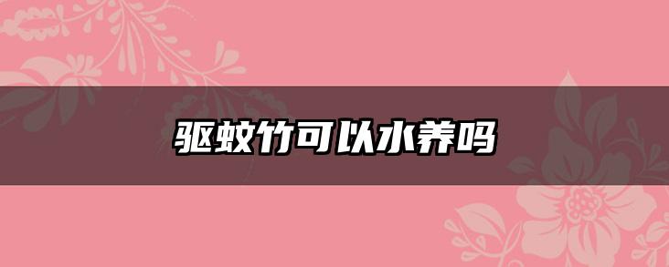 驱蚊竹可以水养吗