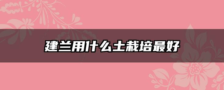 建兰用什么土栽培最好