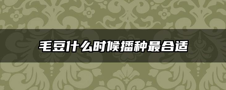 毛豆什么时候播种最合适