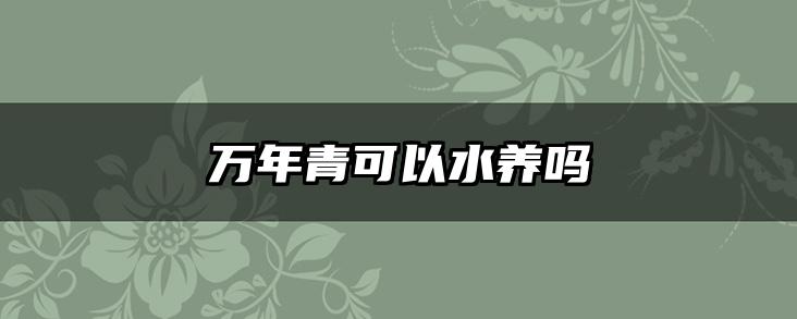 万年青可以水养吗