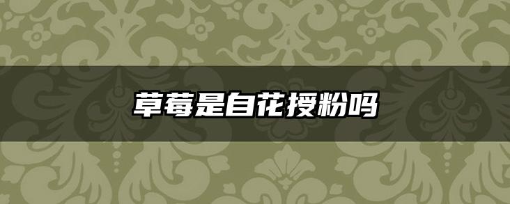 草莓是自花授粉吗