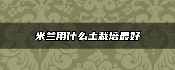 米兰用什么土栽培最好