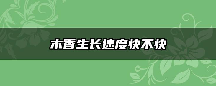 木香生长速度快不快