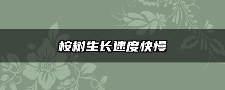 桉树生长速度快慢