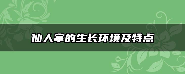 仙人掌的生长环境及特点
