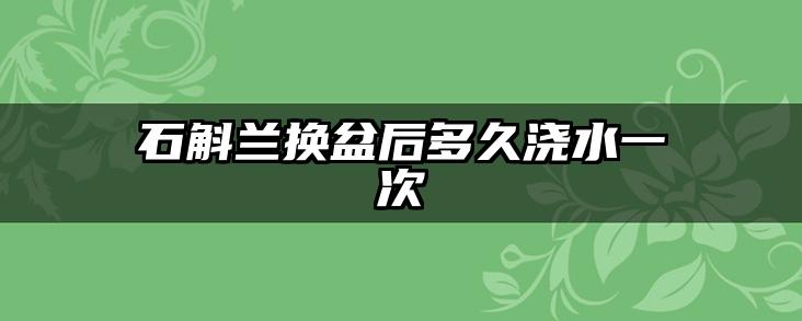 石斛兰换盆后多久浇水一次