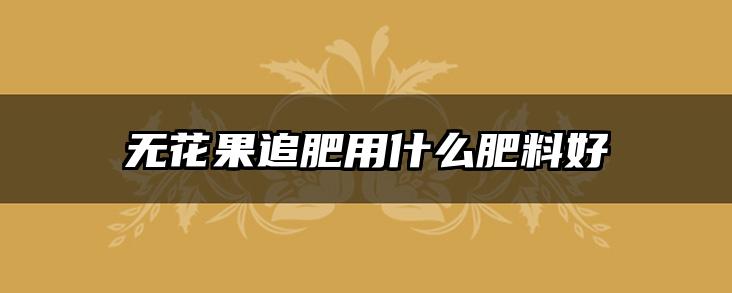 无花果追肥用什么肥料好