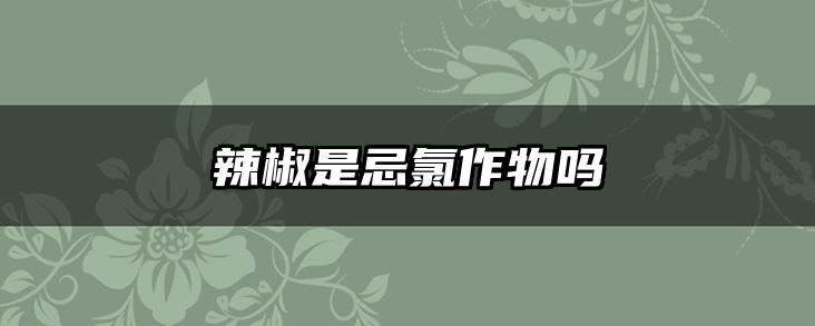 辣椒是忌氯作物吗