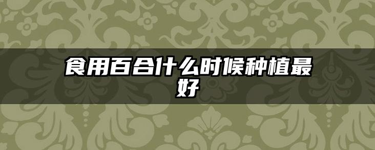食用百合什么时候种植最好