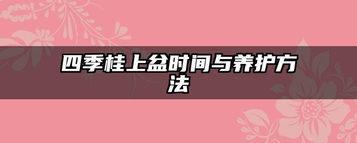四季桂上盆时间与养护方法