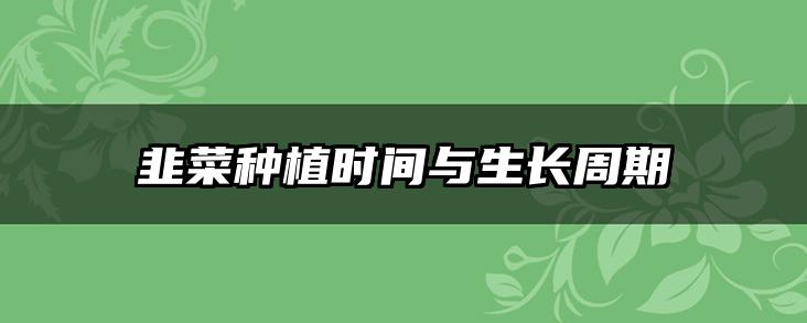 韭菜种植时间与生长周期