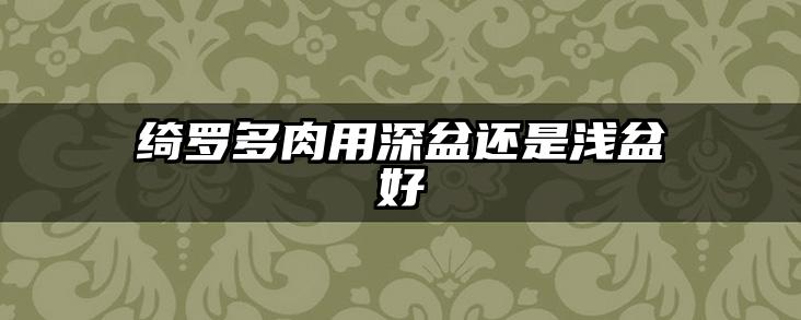 绮罗多肉用深盆还是浅盆好