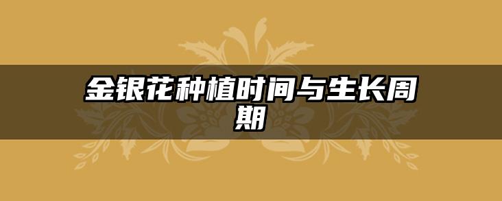 金银花种植时间与生长周期