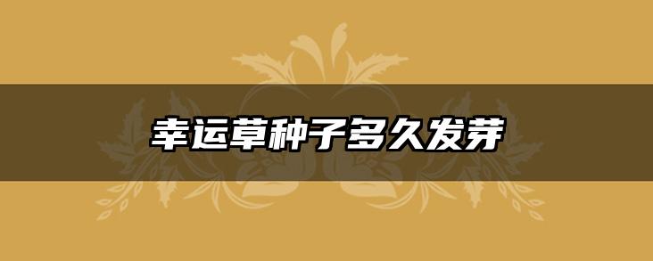 幸运草种子多久发芽