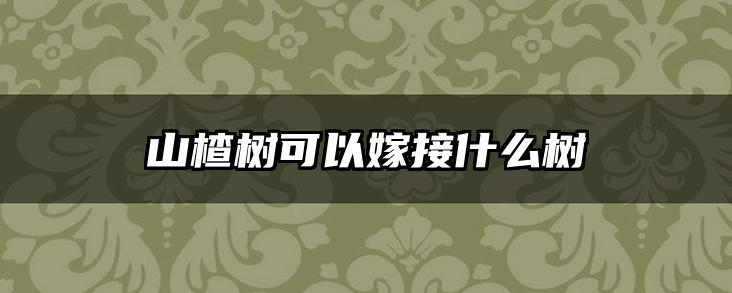 山楂树可以嫁接什么树