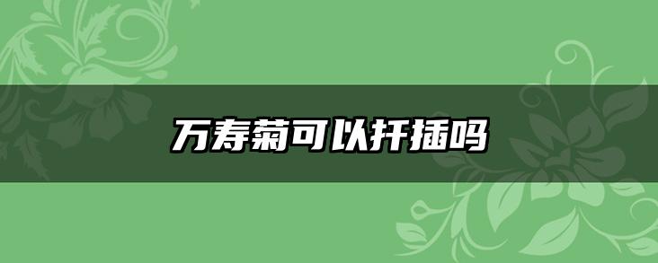 万寿菊可以扦插吗