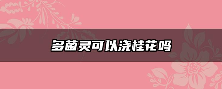 多菌灵可以浇桂花吗