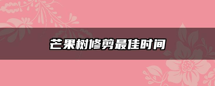 芒果树修剪最佳时间