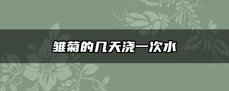 雏菊的几天浇一次水