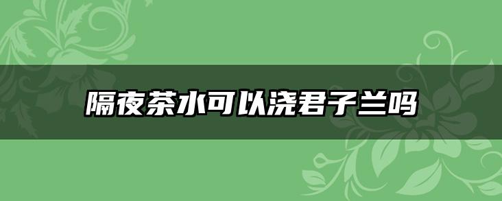隔夜茶水可以浇君子兰吗