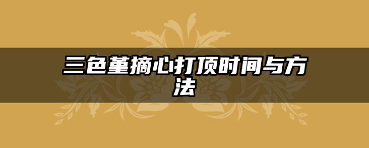 三色堇摘心打顶时间与方法
