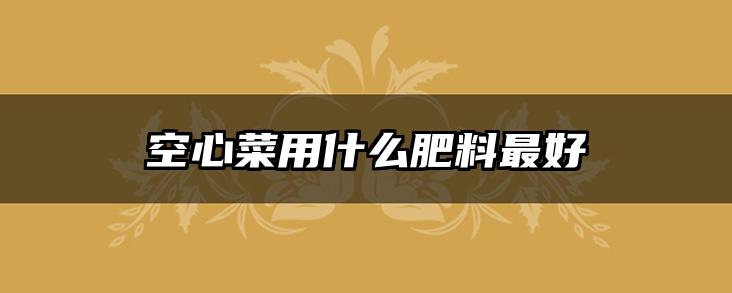 空心菜用什么肥料最好