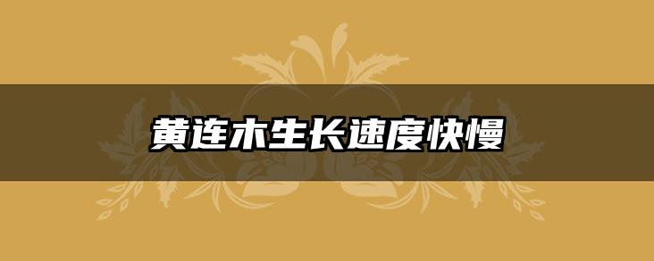 黄连木生长速度快慢