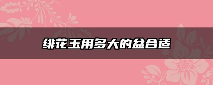 绯花玉用多大的盆合适