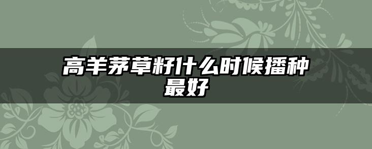 高羊茅草籽什么时候播种最好